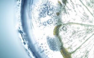 口臭対策に炭酸水を使ったうがいの効果は？