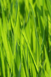 口臭をどうすれば治るのか効果的な対策は？