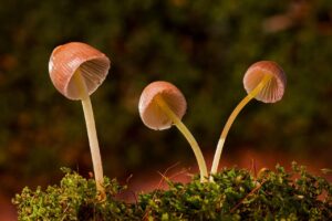 ピロリ菌による口臭の改善方法は？