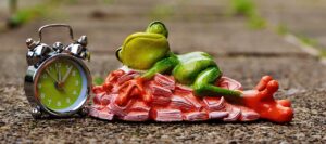 息が臭い対策におすすめのグッズは？