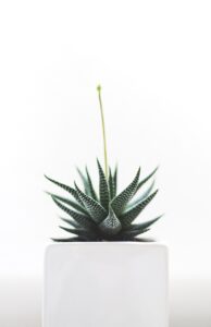薬の口臭に関する副作用はどのようなものですか？