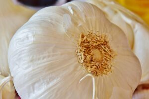 ニンニクを食べた翌日の口臭対策には何が効果的ですか？
