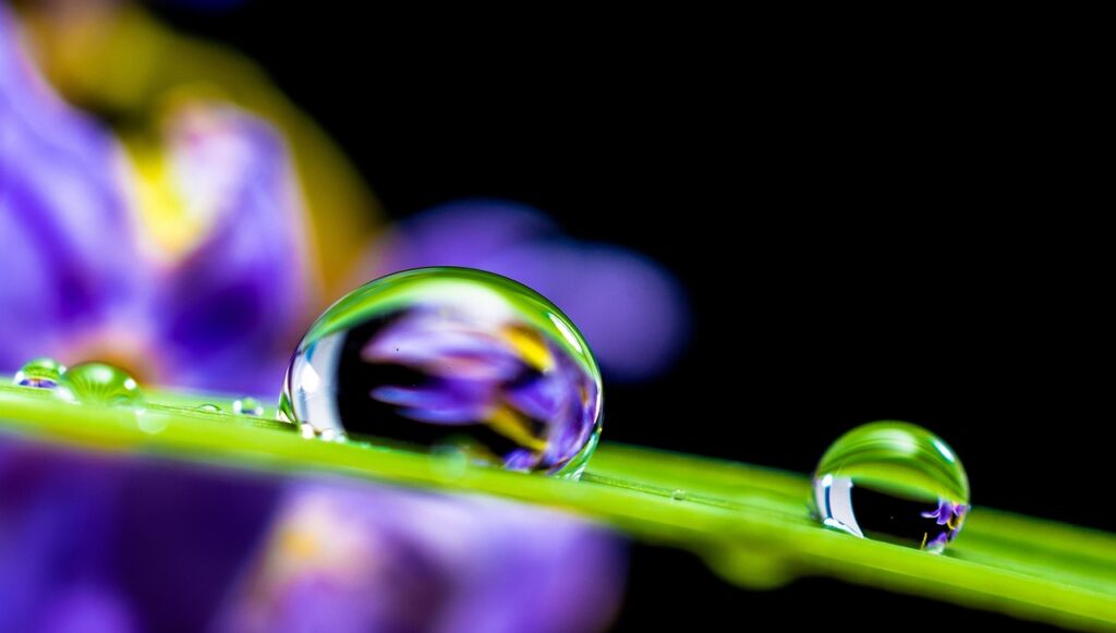 水分補給が口臭対策に効果的な理由は？