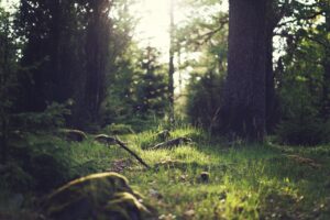 口臭が気にしすぎているあなたにおすすめの解消法は？