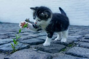 同僚の口臭を我慢するべきか、対策はあるのか？