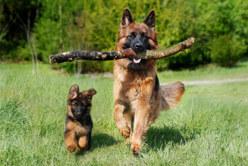 胃もたれと口臭を改善するための食生活のポイントは？