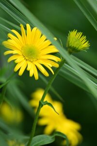 40代女性の口臭に関する悩み別解決法は？